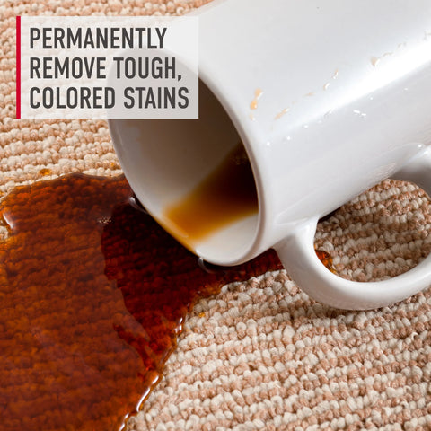 Oxy Stain Remover 22 oz. Trigger Spray