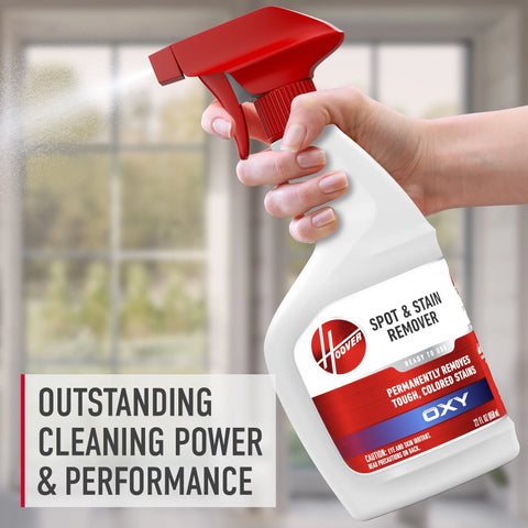 Oxy Stain Remover 22 oz. Trigger Spray