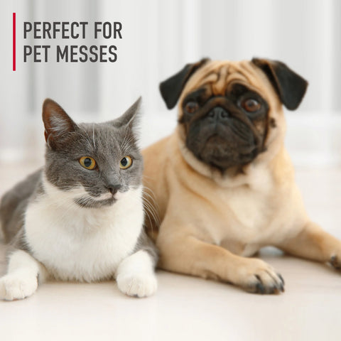 Paws & Claws Carpet Cleaning Solution 128 oz.