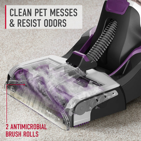 SmartWash PET Complete Automatic Carpet Cleaner